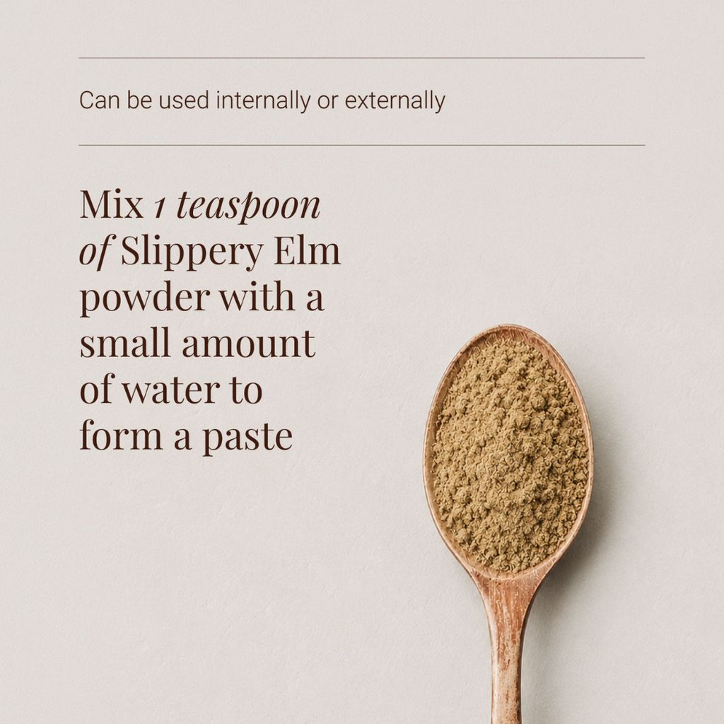 Bio-Ulmenrindenpulver - Image 3