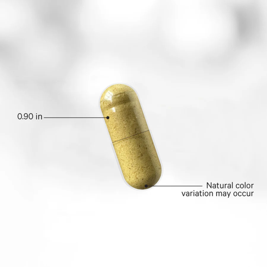Fermentierte Verdauungsenzyme - Image 4