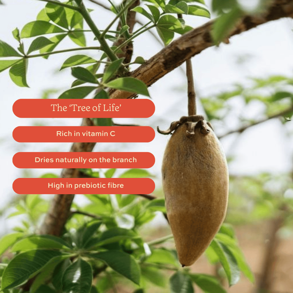 Aduna Baobab Superfruchtpulver - Image 3