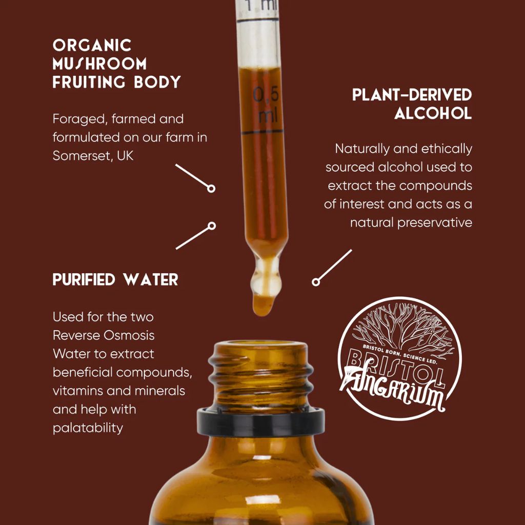 Resilience Blend Bio-Pilztinktur - Image 3