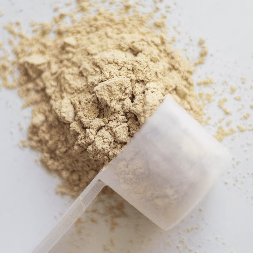 Epic Protein: Bio-Pflanzenprotein – Vanille-Lucuma - Image 3