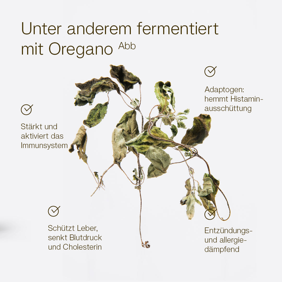 MikroVeda NuLife - Image 3