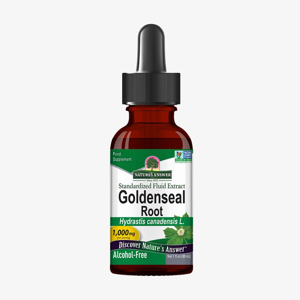 Goldene Siegelwurzel - Image 1